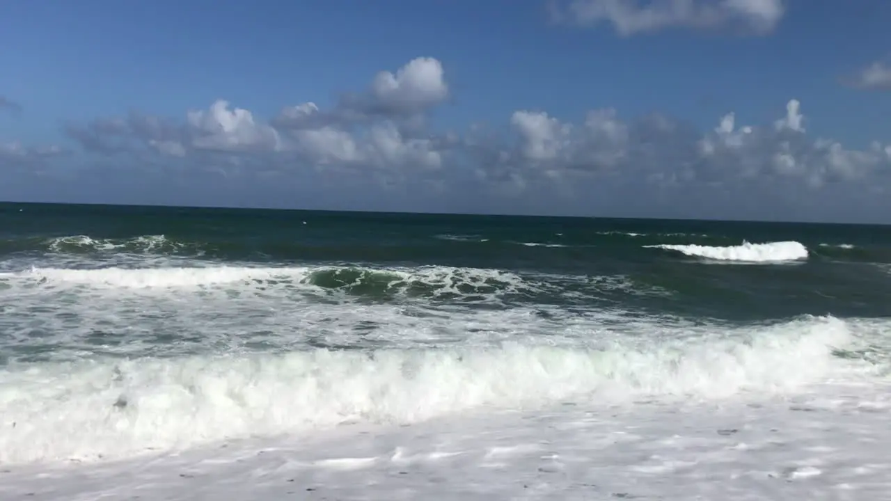 rolling crashing waves on a sandy shore with coconut trees