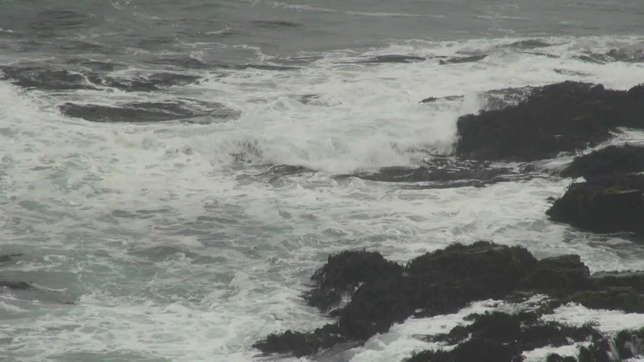 Chile Waves at Punta Lobos