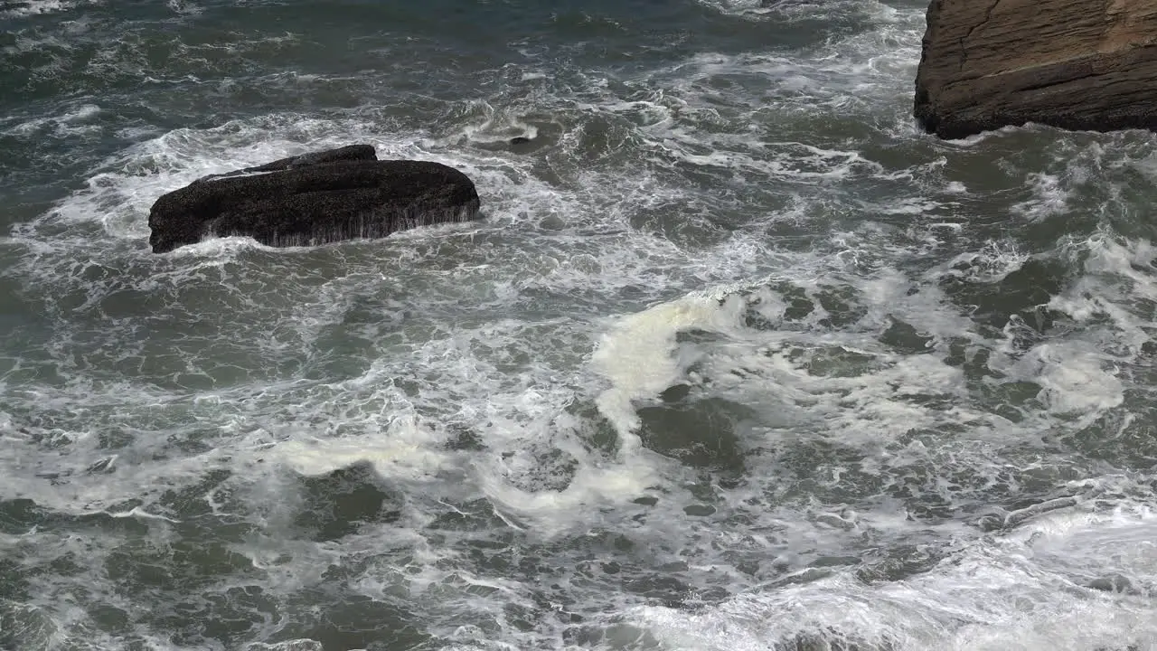 Oregon zooms out from cauldron of waves with bird