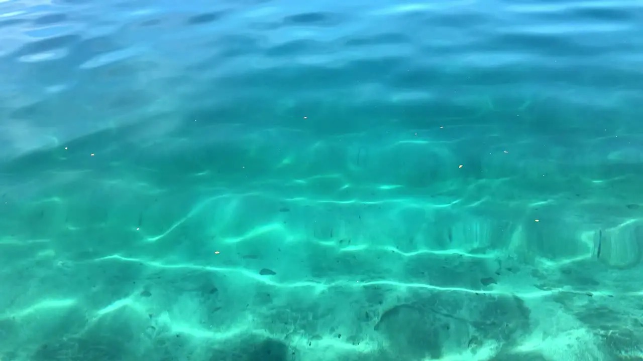 Clean turquoise soft water waves with some leaves in surface from Nahuel Huapi lake in patagonia Argentina