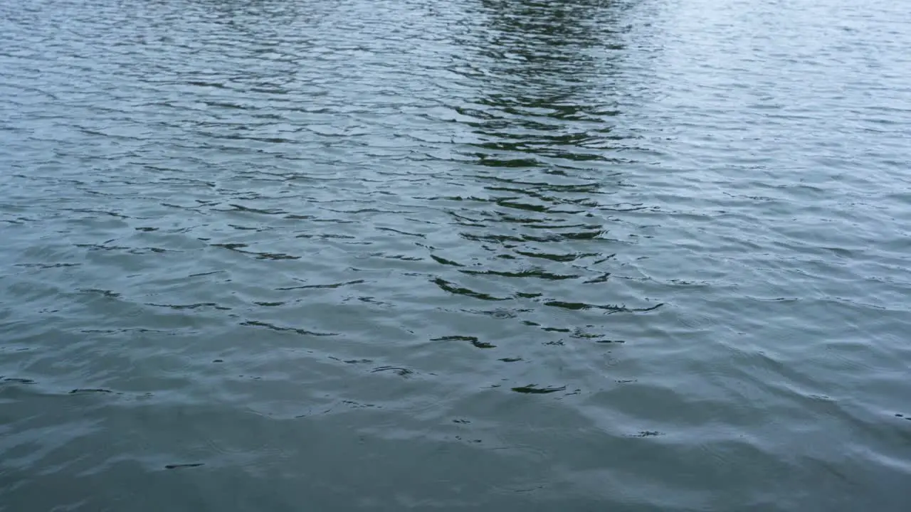 Calm relaxing blue ocean waves reflecting light on a cloudy day