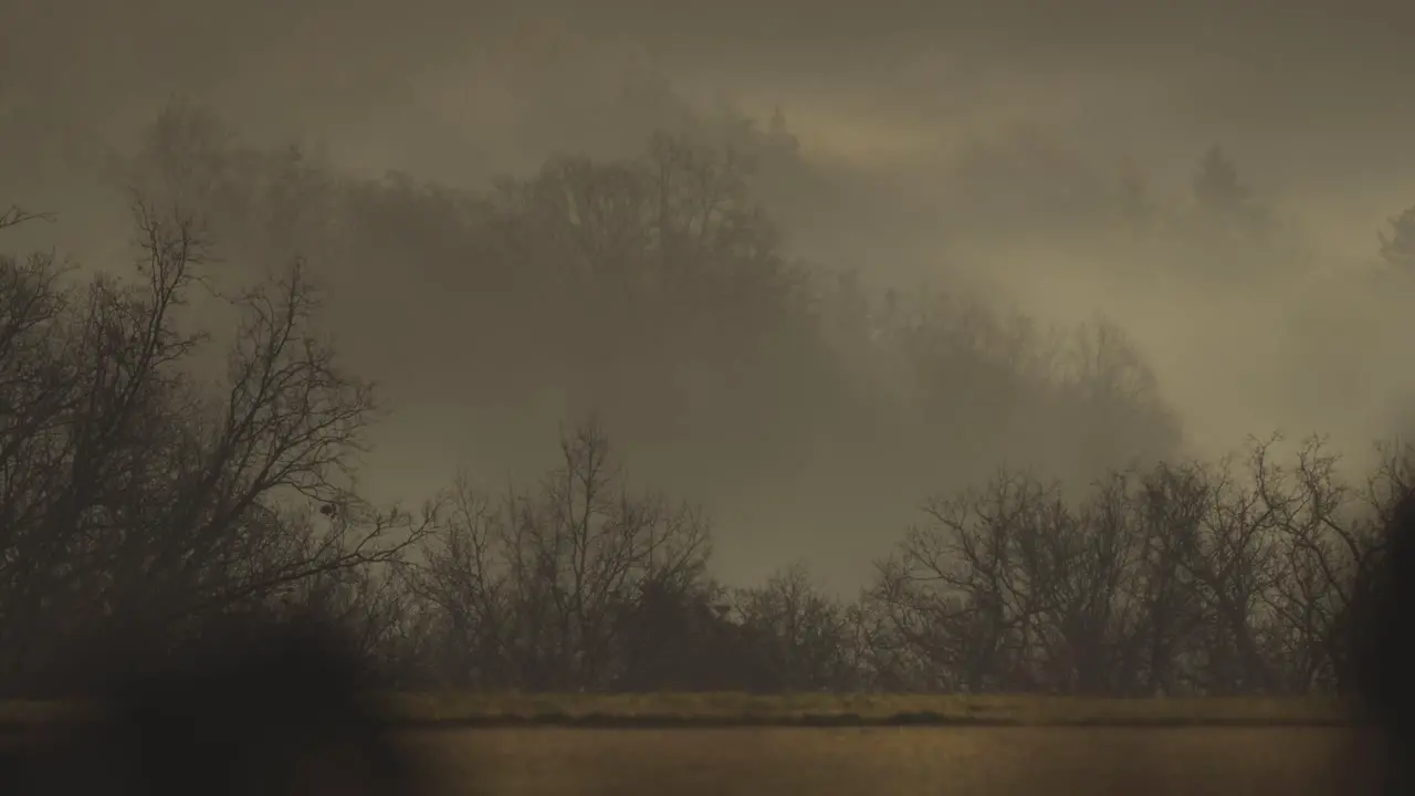 A dark and eerie atmosphere of fog hovering over the trees in the valley