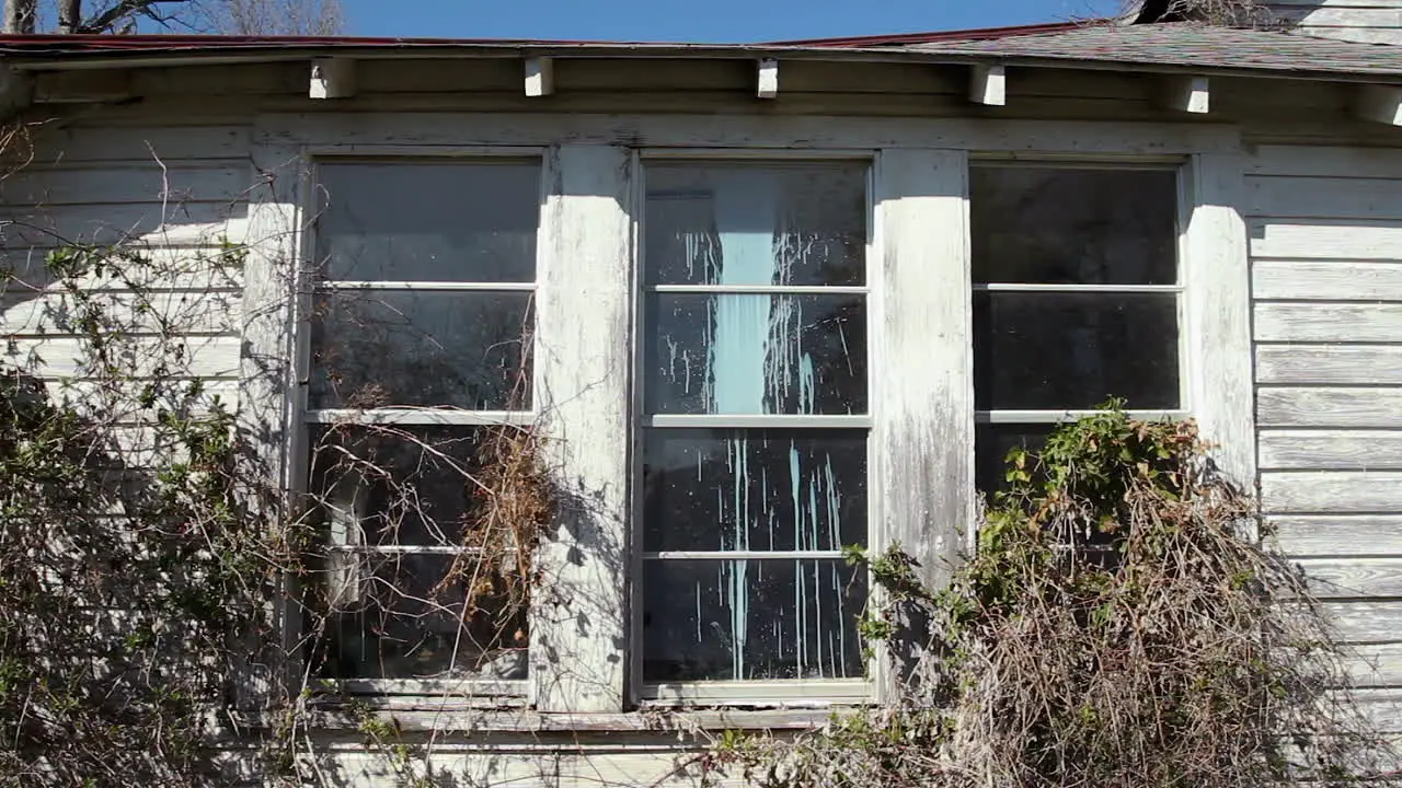 Medium shot of vines and other plants being blown by the wind in front of three windows of an old spooky abandoned farmhouse