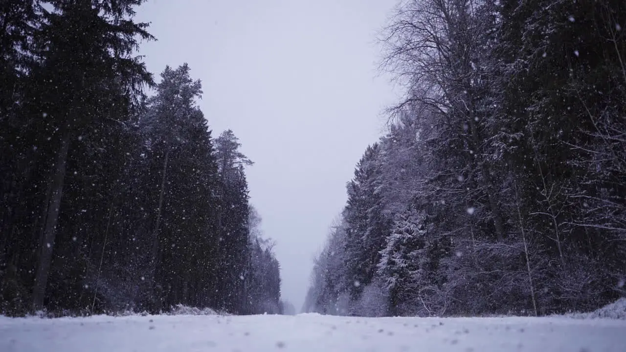 Snow falling in slow motion on an empty road near a forest in Riga Latvia