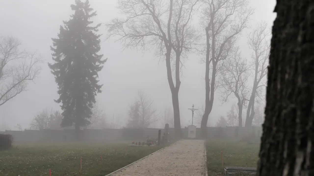 Cemetery Path in Dense Fog