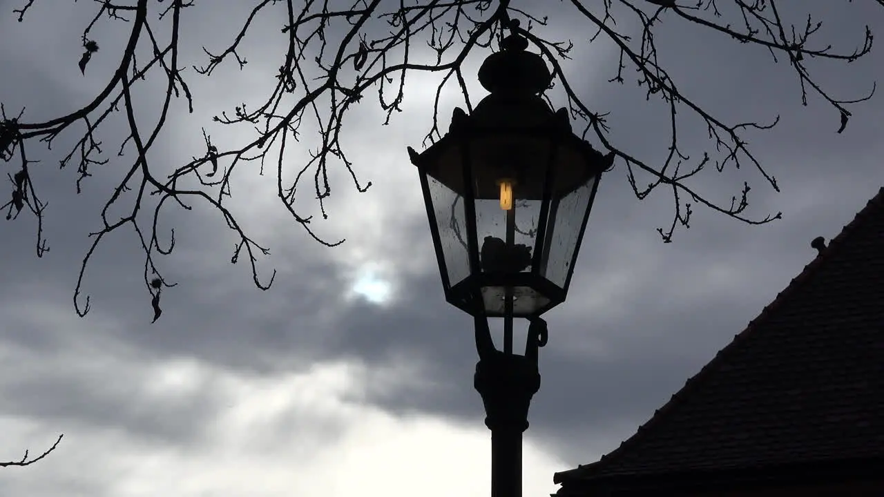 Germany lamp and tree branches with grey sky