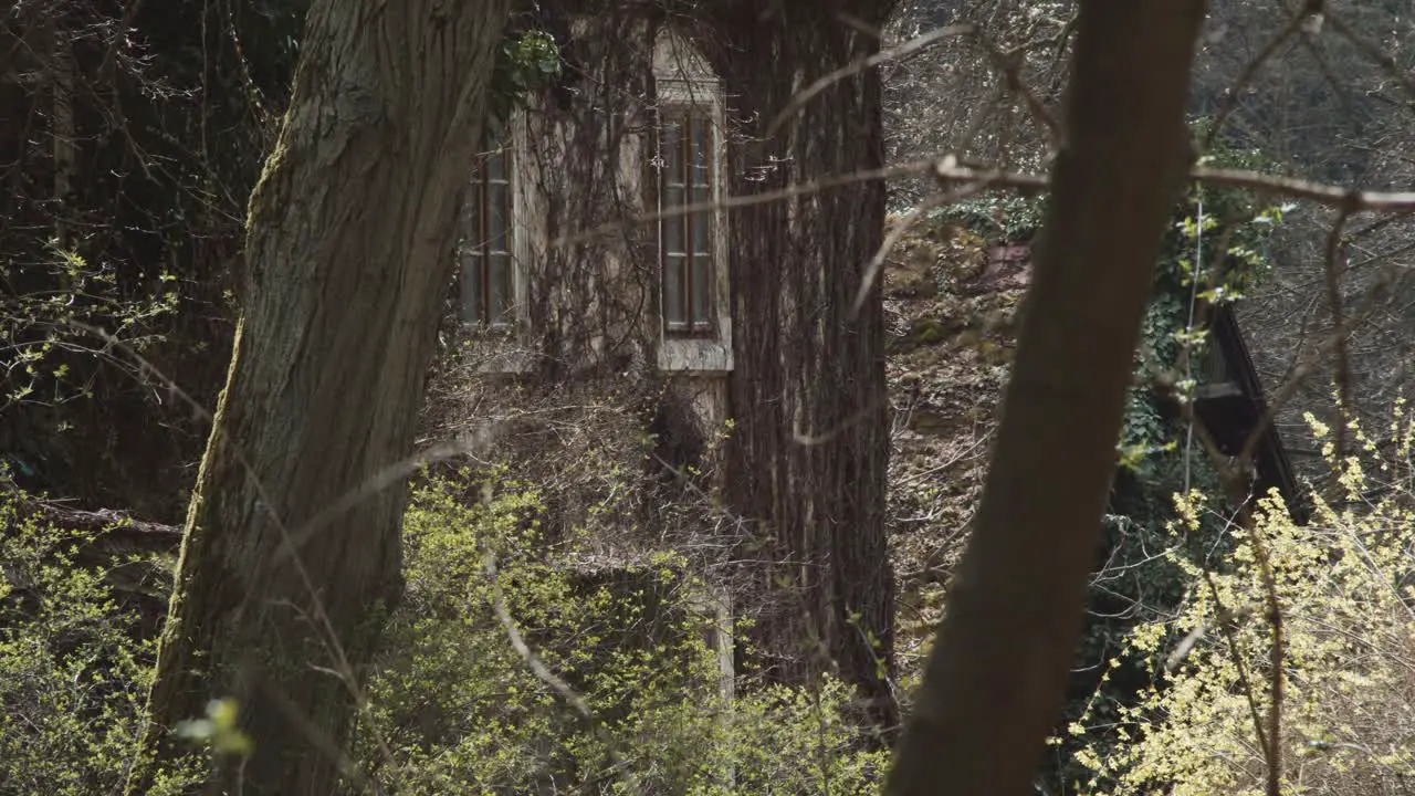 Abandoned derelict homes hidden deep in dense tree forest pan