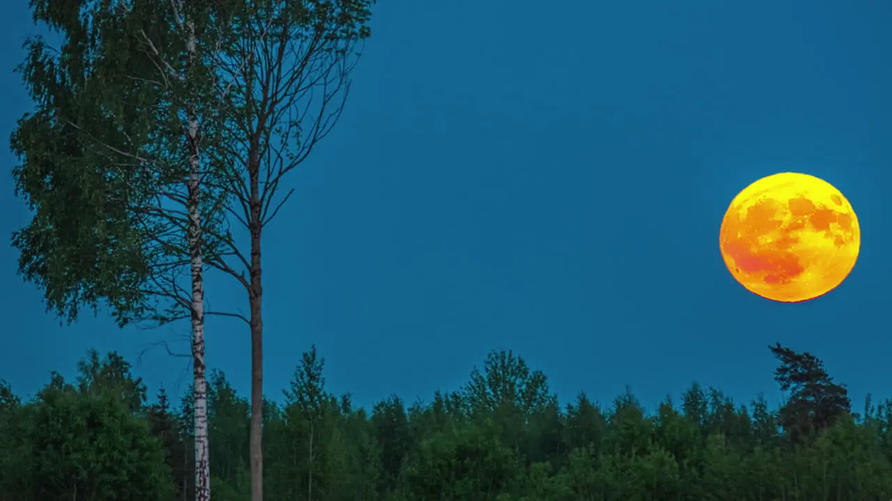 Timelapse -Orange blood moon moving across clear blue night sky