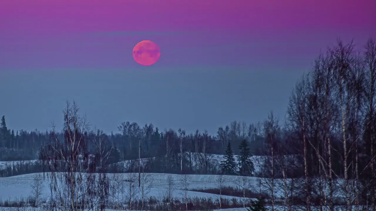 Full moon rising through the haze over a winter wilderness forest time lapse