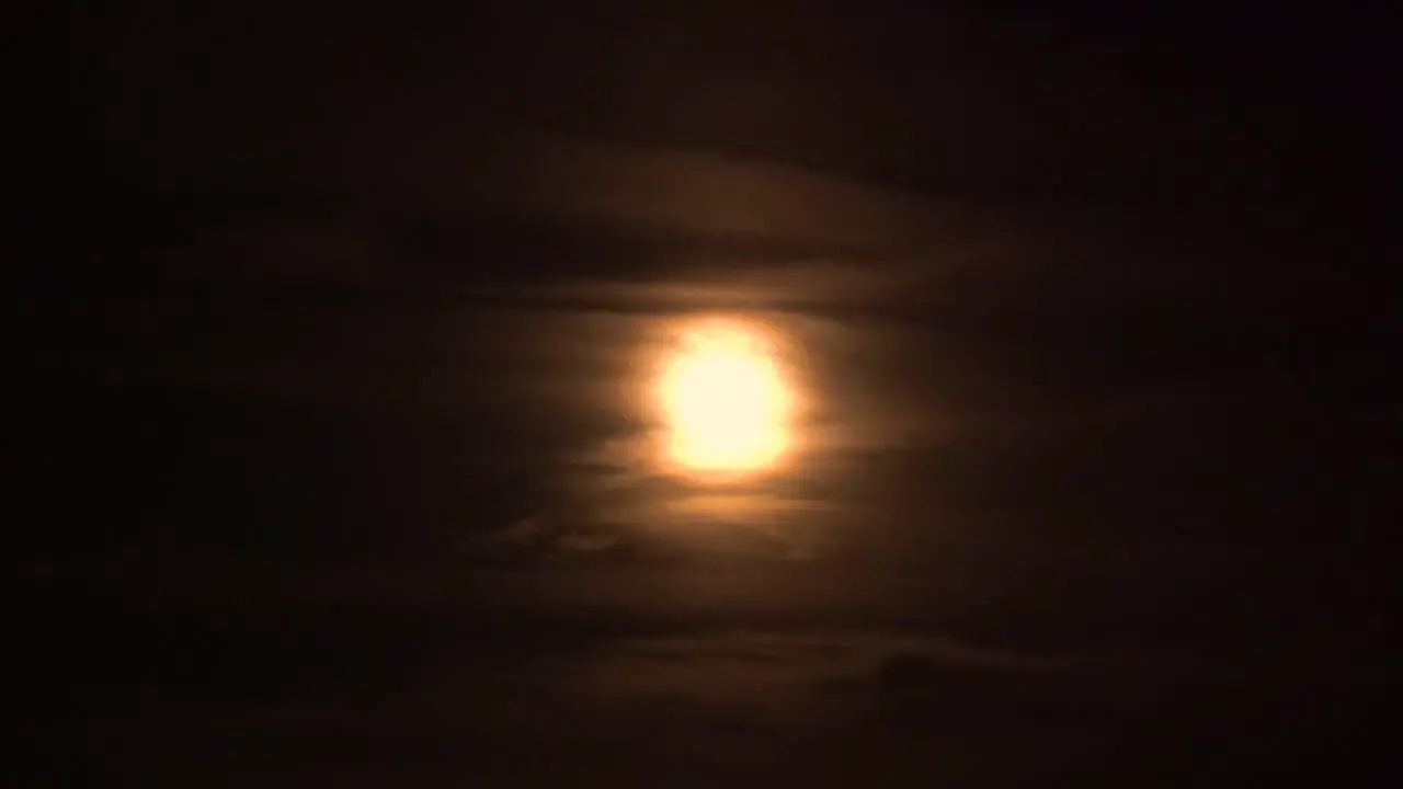 bats flying past a spooky full harvest moon with clouds 4k