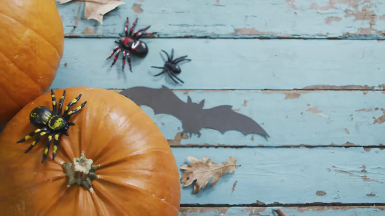 Close up view of pumpkins spider and bat toy on blue wooden surface