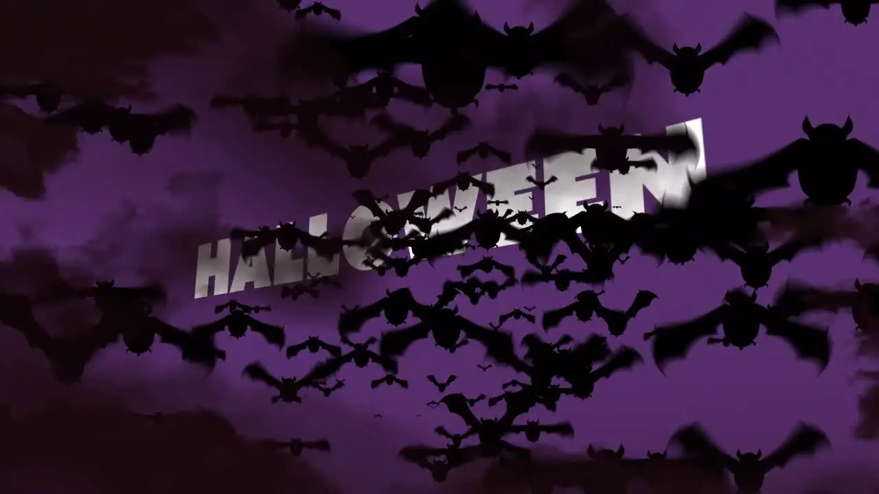 Animation of halloween greetings and bats on purple background