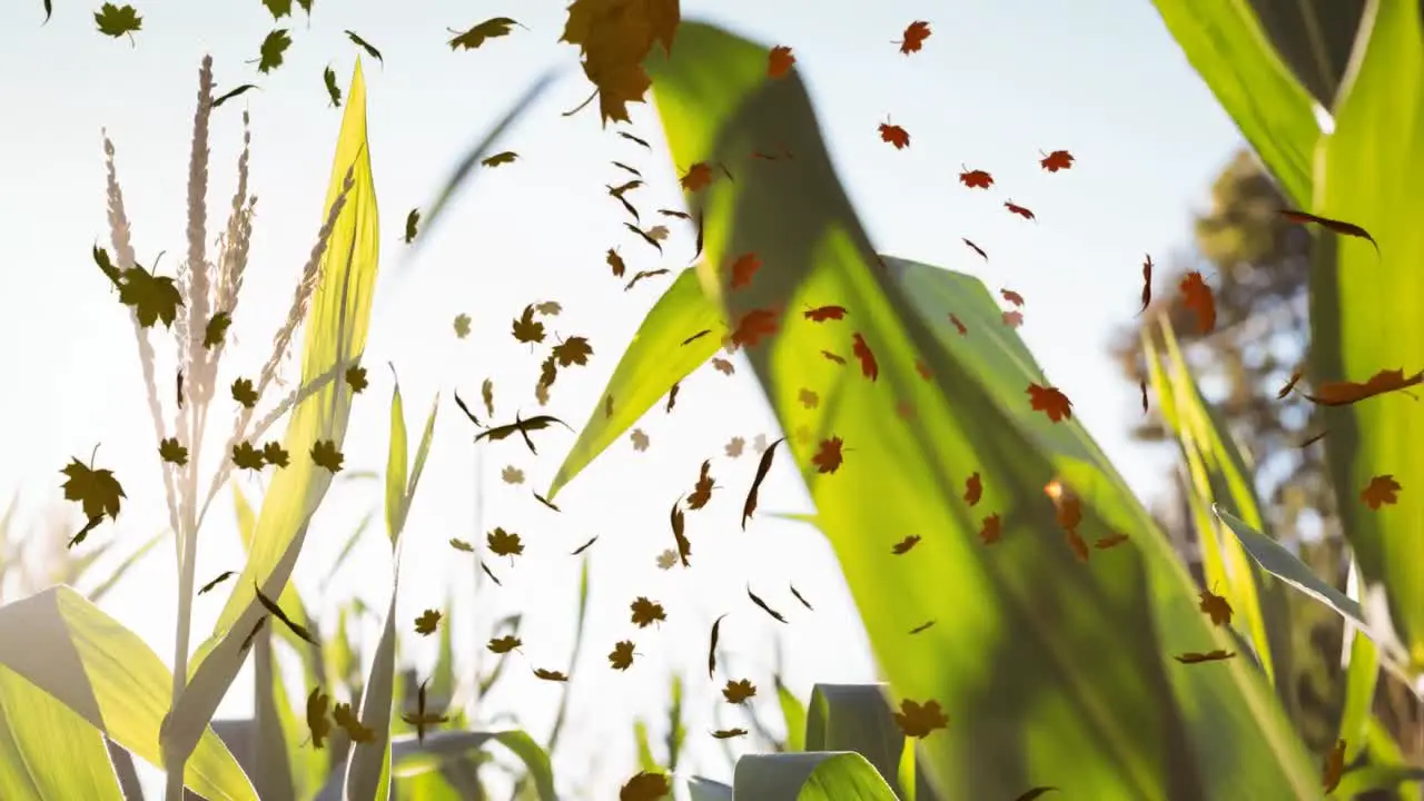 Animation of autumn leaves falling over grass