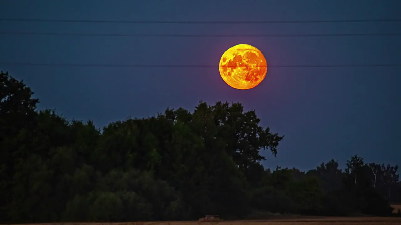 Timelapse of orange full moon moving across night sky over trees