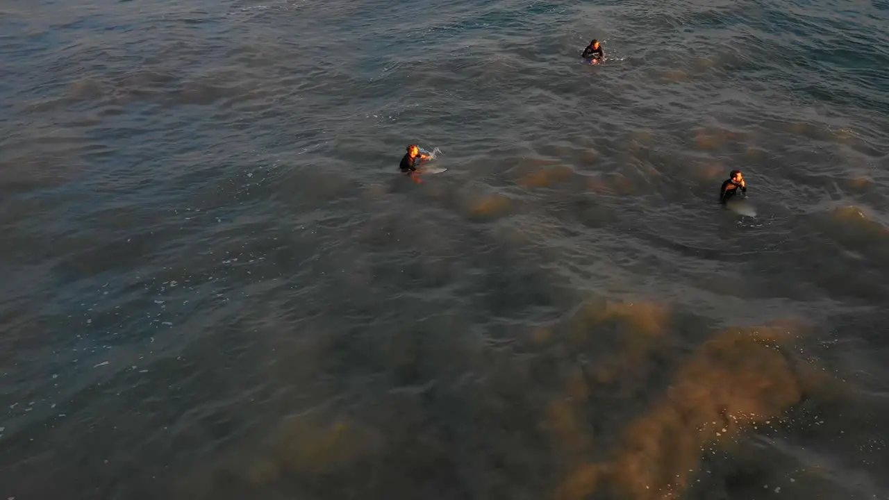 Surfers Waiting For Waves LA