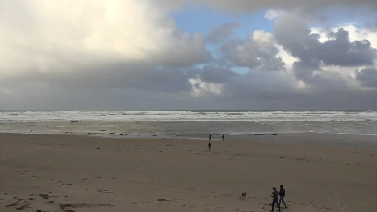 Oregon Dog Runs On Beach And Bird Flies Over