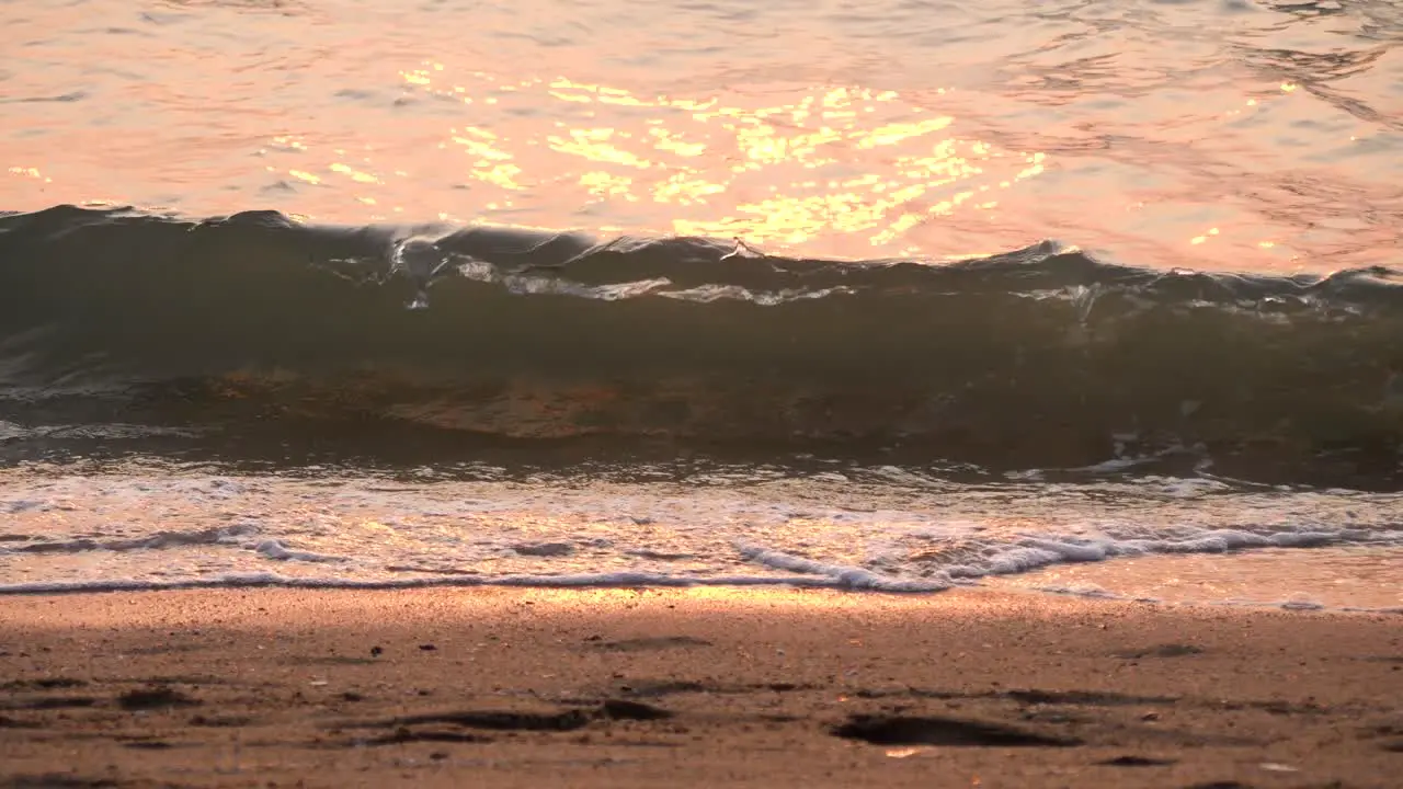 Beautiful shining sea wave on the beach