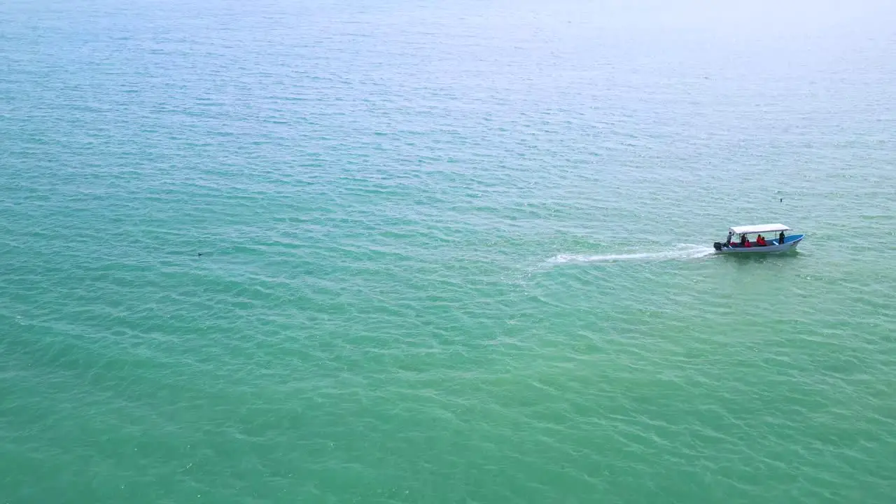 Drone aerial shot of speed boat and a dolphin swimming by in turquoise water of Gulf of Mexico at sunset