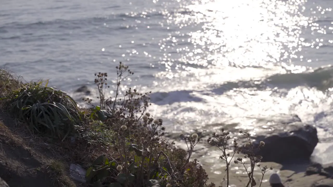 View of cliffside plants with ocean in background and background blur people