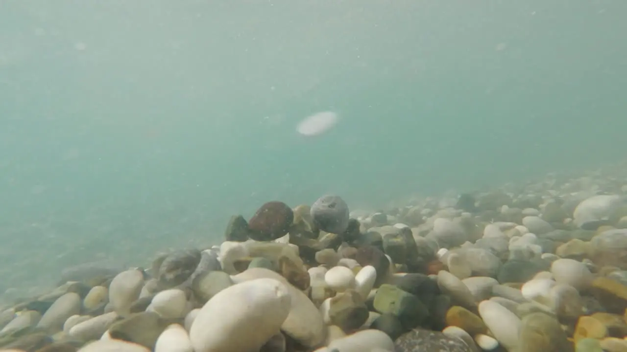 The Sea Surf Fires Pebbles In Different Directions The Video Was Shot Under The Water