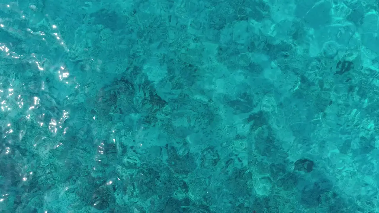 Seaturtle swimming out of frame drone shot from above in clear ocean water