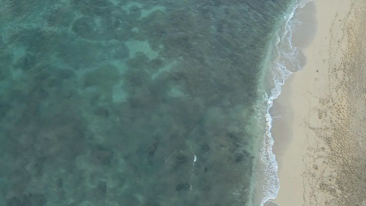 Overhead view of rocky ocean floor in clear waters along sandy beach