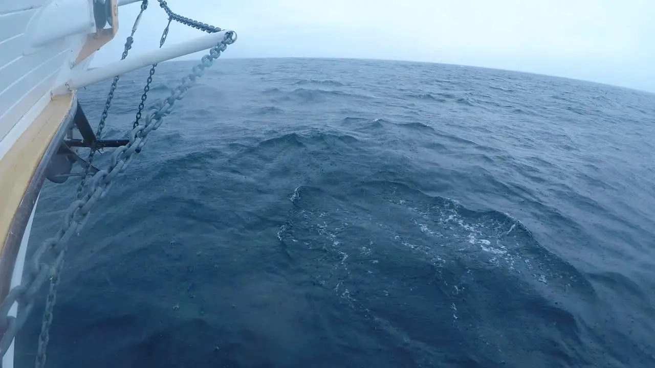 Pod of dolphins swims alongside yacht during stormy weather