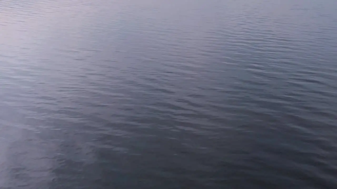 Flying Over Baltic Blue Calm Sea Carnikava Latvia