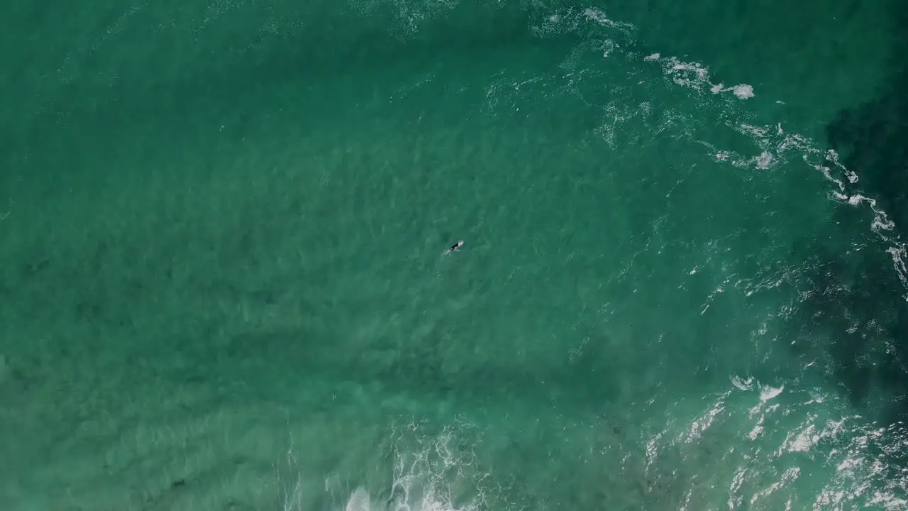 Surfer catches wave in crystal clear ocean with sandy bottom