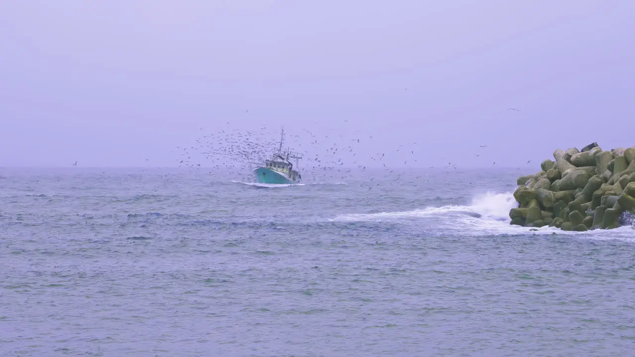 Fishing boat surrounded by seagulls near the coastline during stormy weather