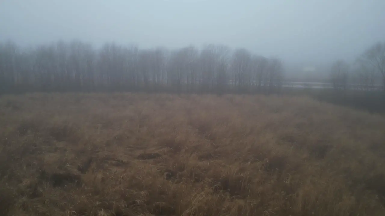 Flying over an unused field that is overgrown in the middle of a thick heavy fog