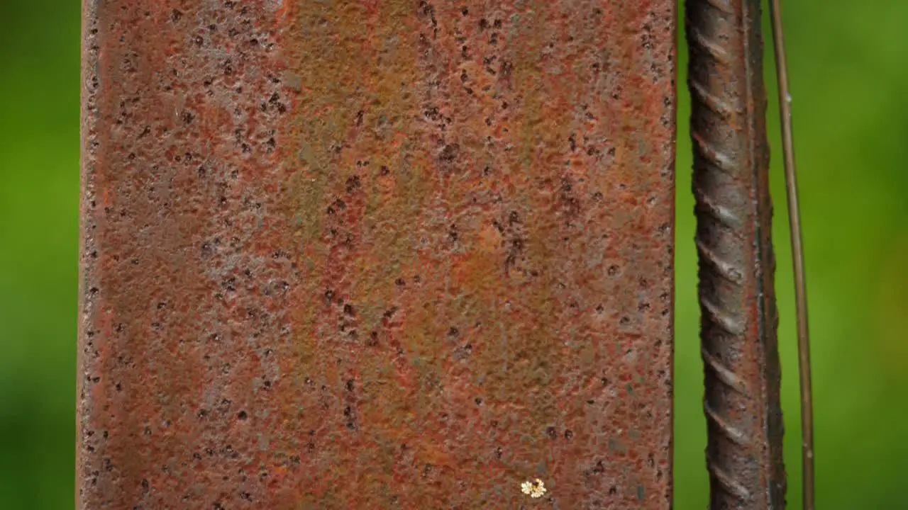 Close up rusty texture iron pillar with wire and metal rebar shallow focus against green background