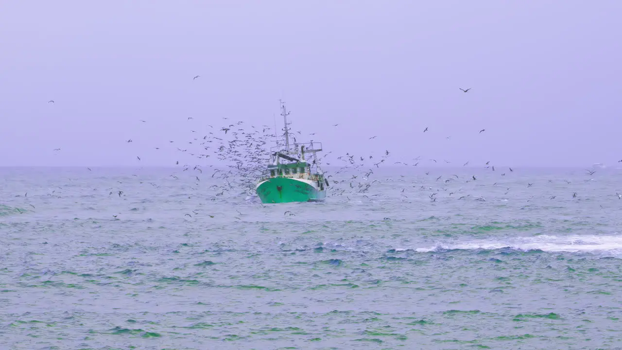 Fishing boat surrounded by seagulls on a stormy afternoon