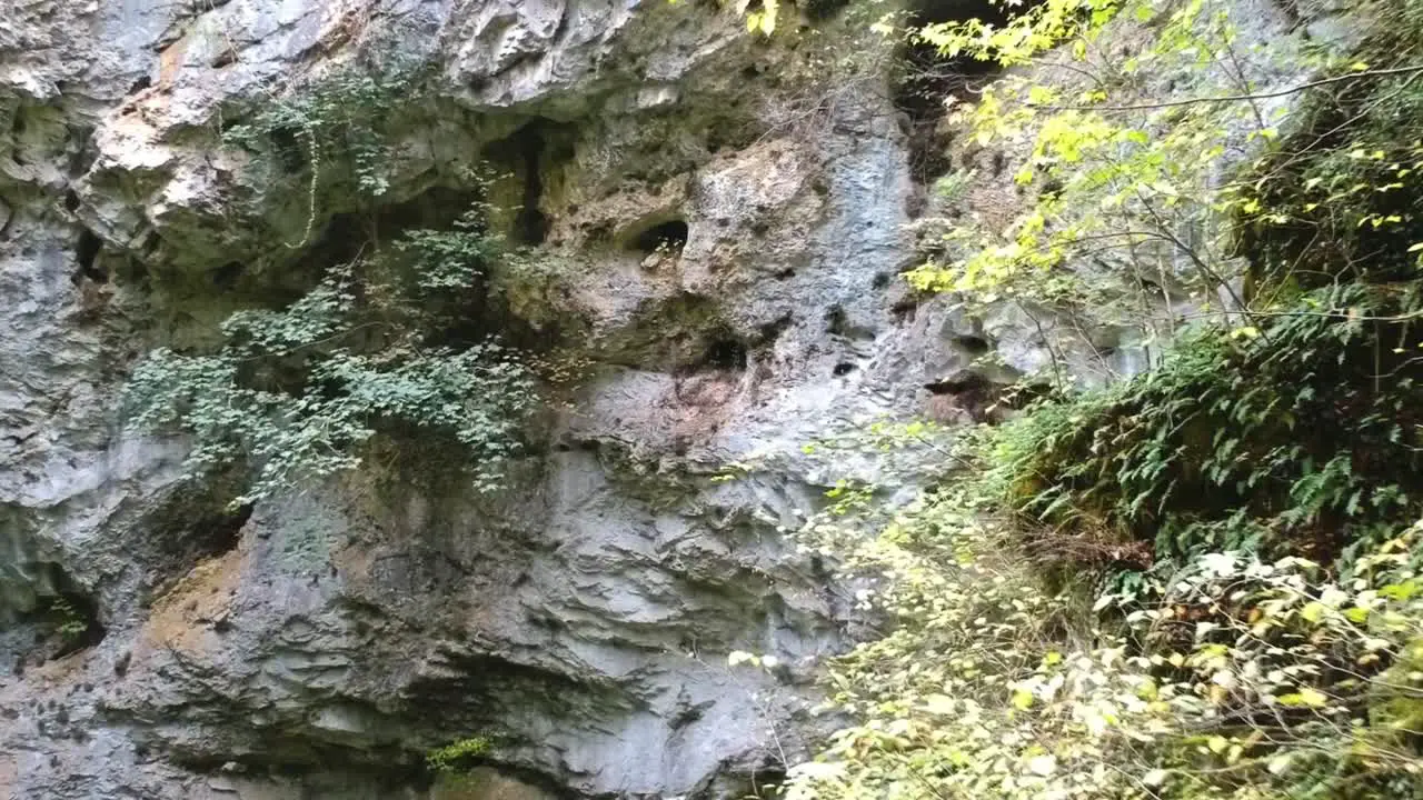 Push in through some vegetation towards a rock formation