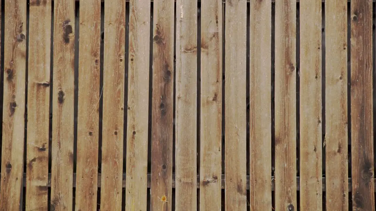 Snow falling in slow motion against a background of wooden fence