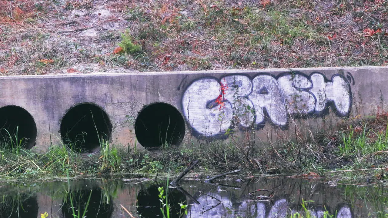 Graffiti on culvert with water in the ditch