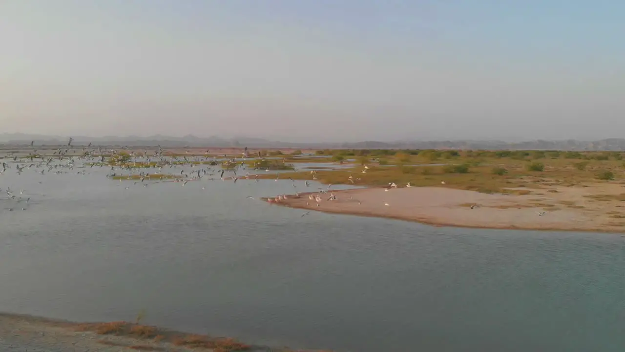 Aerial shot of flock of bird flying above the river in Baluchistan