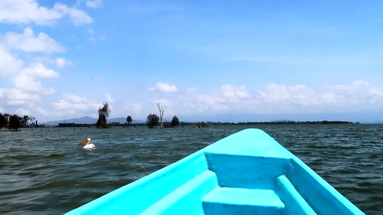 Navigating in a blue fiber boat between pelicans in Crescent Island Kenya