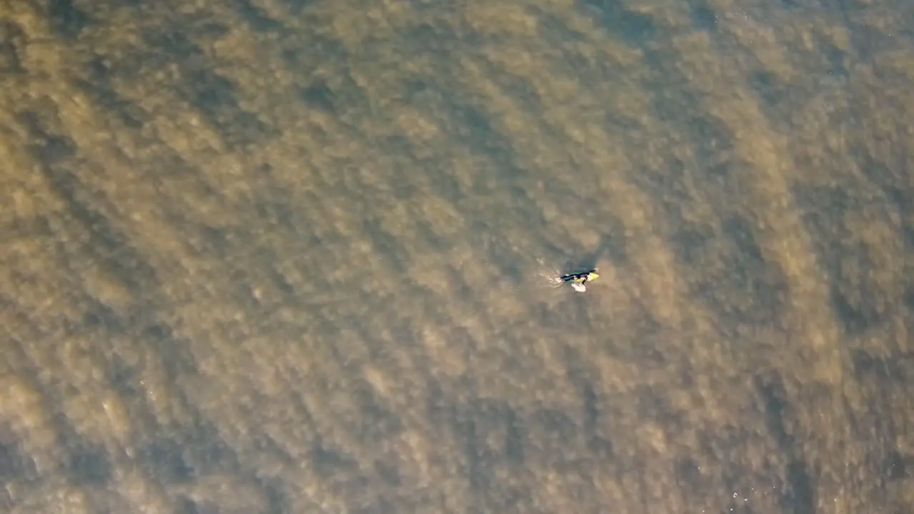 Drone landscape scenic aerial shot of surfer paddling across ocean channel in murky gloomy water Pacific Ocean Central Coast NSW Australia 4K