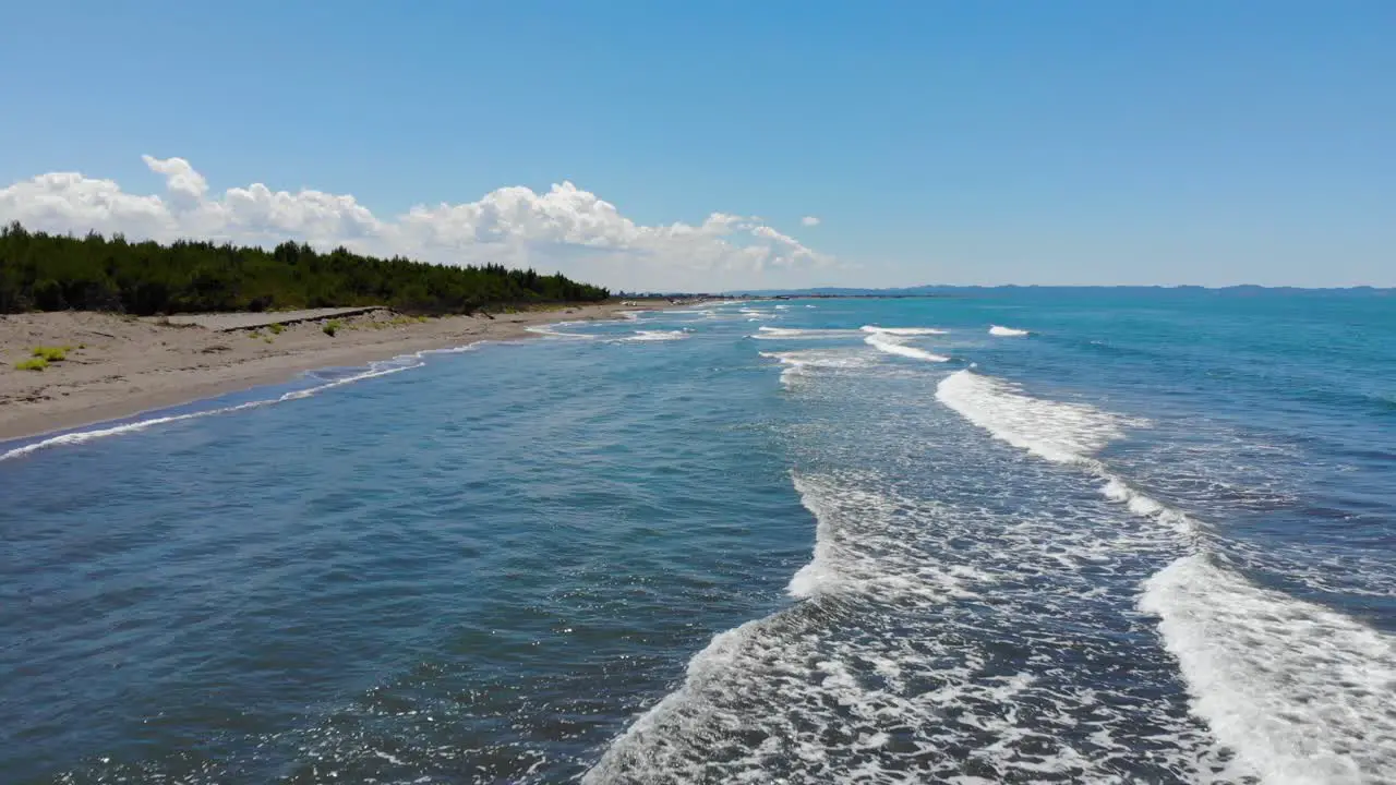 Waves of sea splashing on sandy beach of beautiful seaside with pine trees on a sunny summer day in Albania