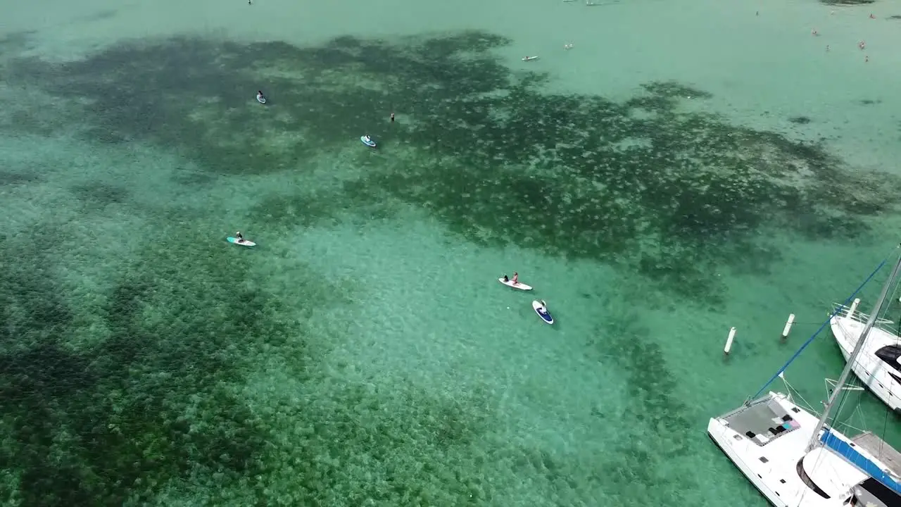 drone shot captures group of tourists paddle surfing on beautiful sunny day