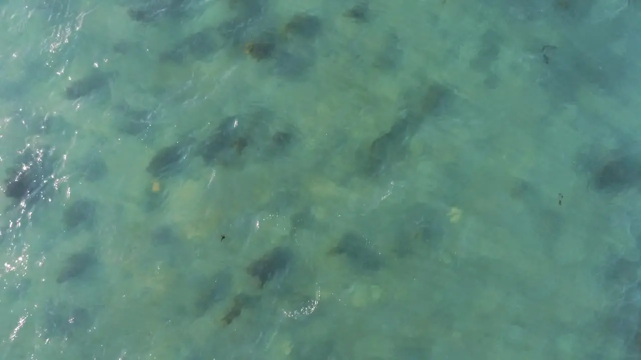 Over water ariel view green sea and seaweed drone