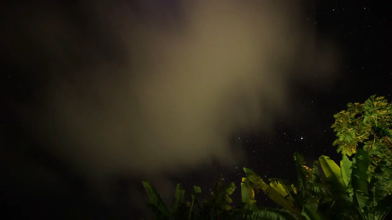 Night Timelapse of Sky Full of Stars and Green Palm Leaves on Ground