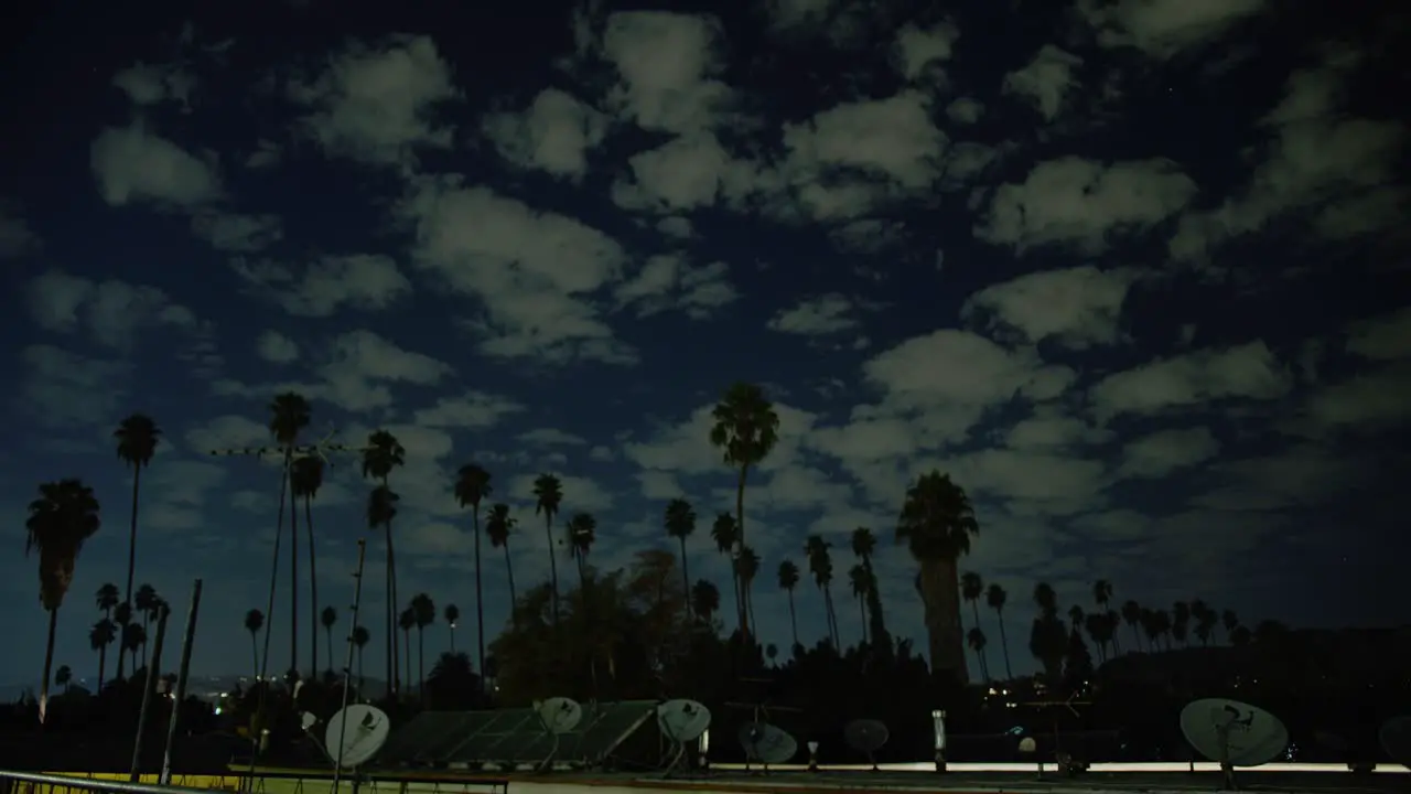 Timelapse of night landscape with palm trees and a cloudy sky