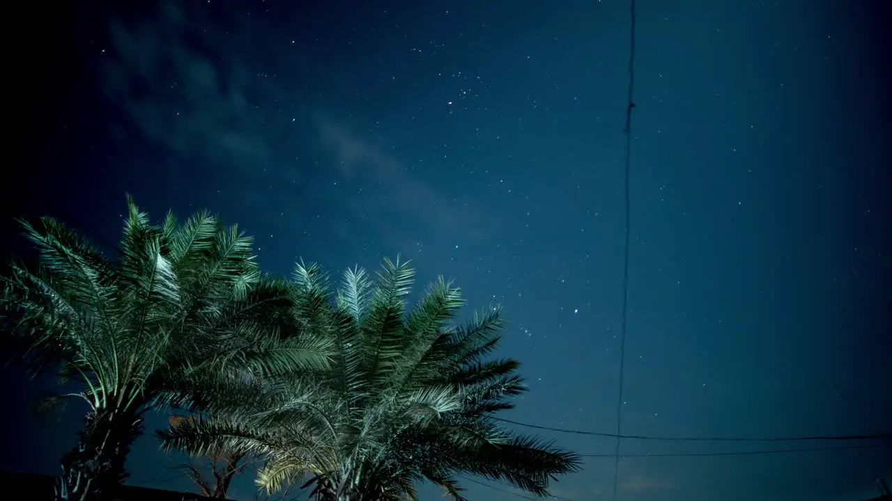 Clear Starry Night Sky With Trees