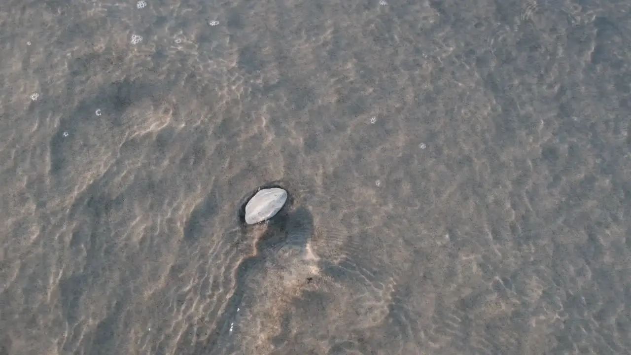 White stone on sand in shallow wavy water slow motion