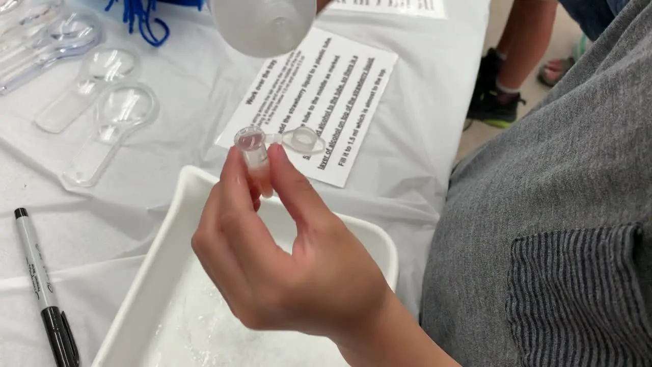 A young boy is extracting strawberry DNA in a small test tube with the help of High School volunteers