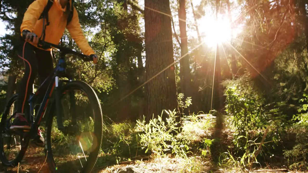 Ciclista De Montaña Femenina Montando En El Bosque