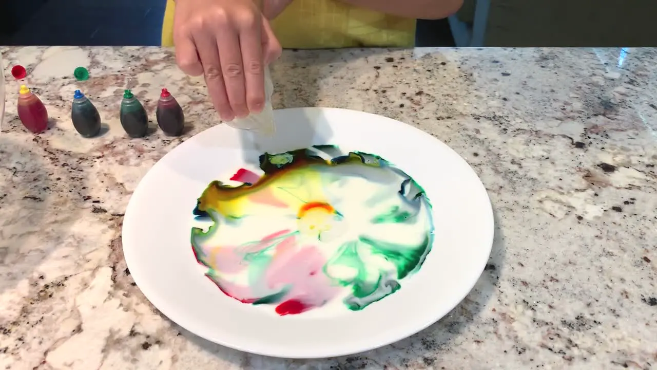 Small hands dropping liquid detergent onto the plate causing a cool chemical reaction that mixes up and spreads out the colors into a beautiful pattern of swirls