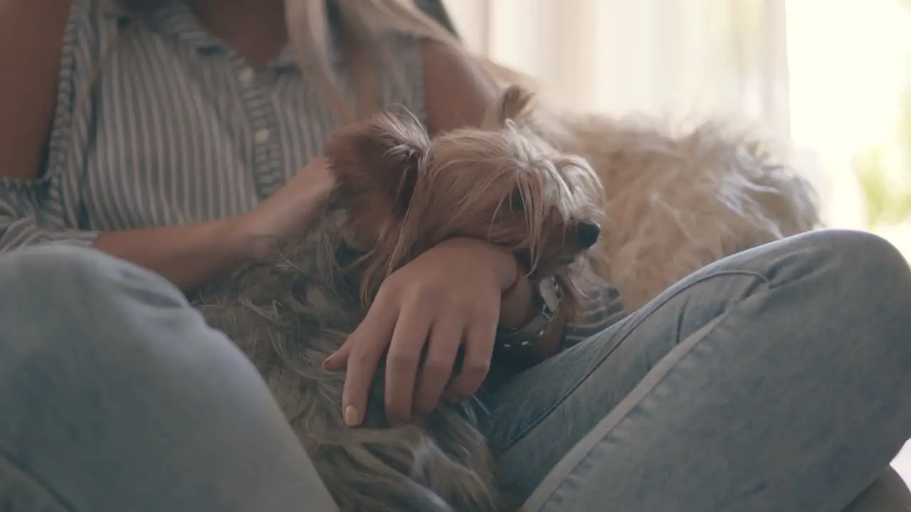 Junge Frau Die Zu Hause Ihren Kleinen Hund Streichelt 1